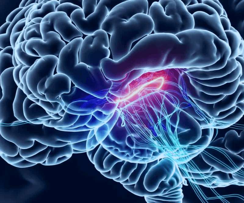 Neuro Energizer